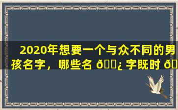 2020年想要一个与众不同的男孩名字，哪些名 🌿 字既时 🌼 尚又有寓意